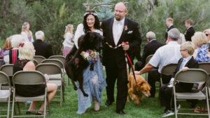 Cani al matrimonio: Charlie accompagna in fin di vita la sua padrona all'altare