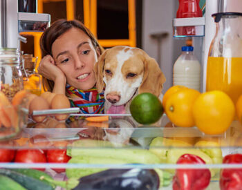 Mangiare con il proprio cane è uno spasso