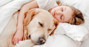 Dormire con il Cane