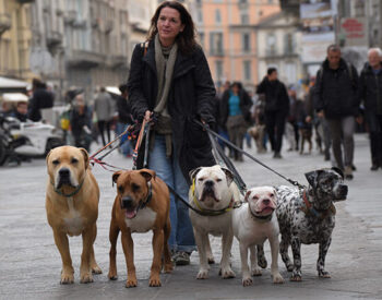 Città a misura di cane: come cambiano gli spazi