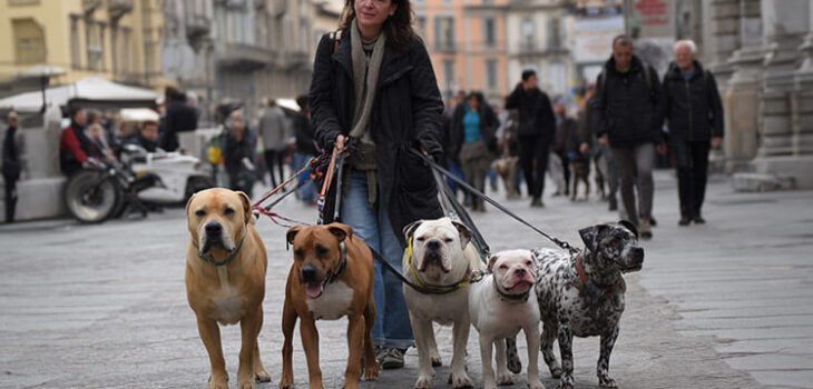 Città a misura di cane: come cambiano gli spazi